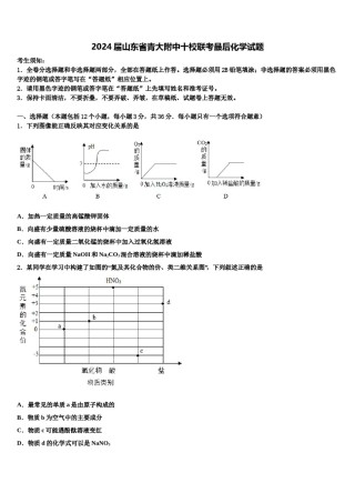 2024届山东省青大附中十校联考最后化学试题含解析.doc