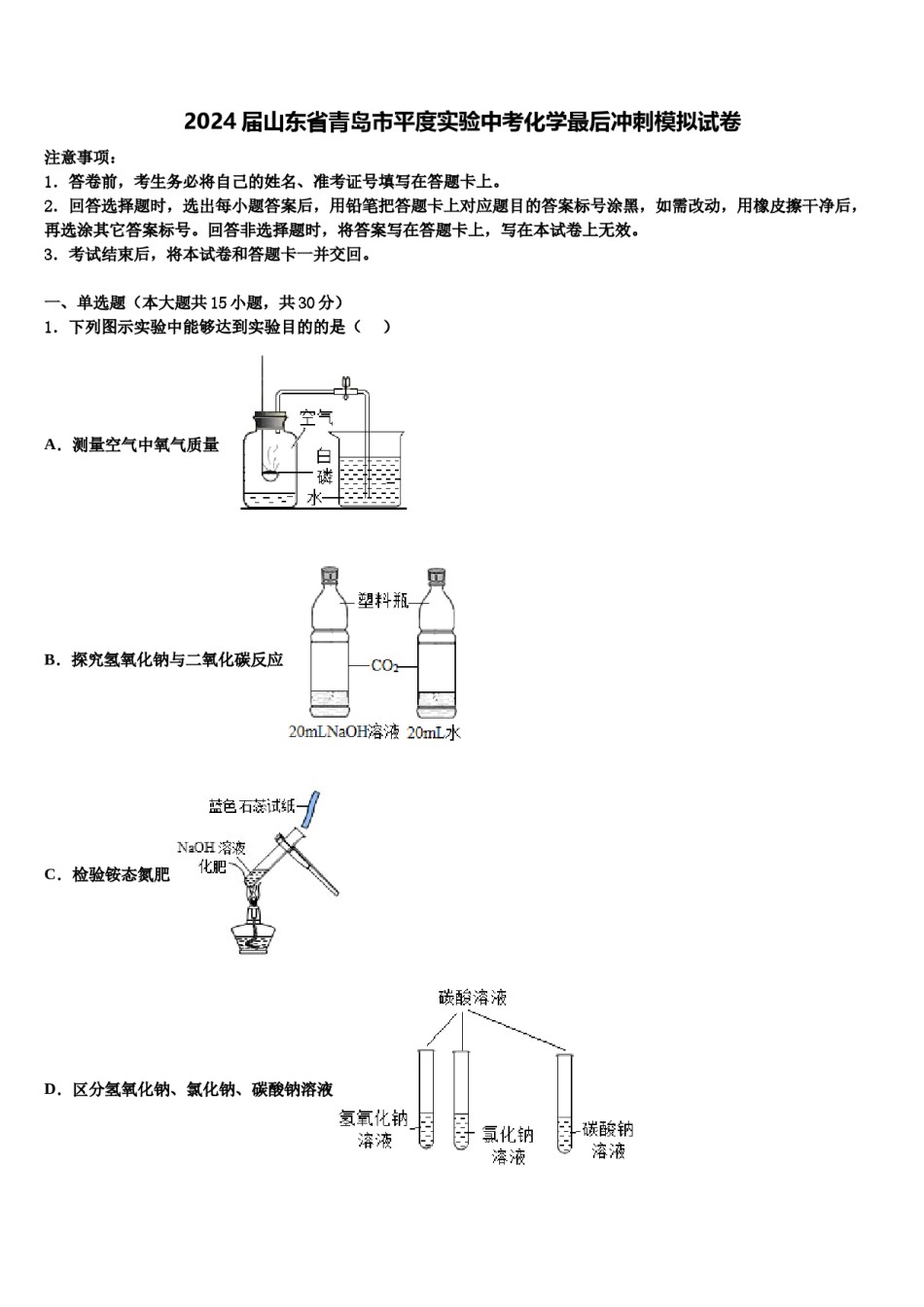 2024届山东省青岛市平度实验中考化学最后冲刺模拟试卷含解析.doc_第1页