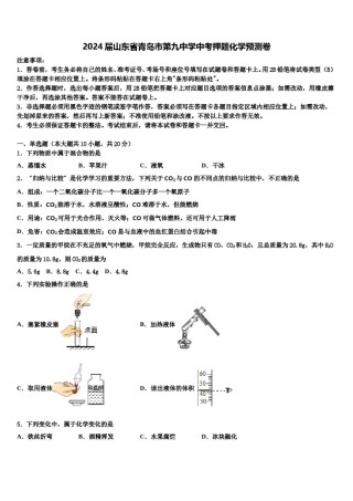 2024届山东省青岛市第九中学中考押题化学预测卷含解析.doc