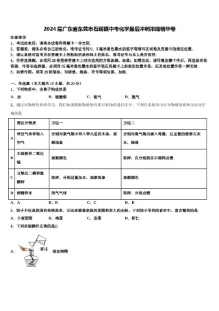 2024届广东省东莞市石碣镇中考化学最后冲刺浓缩精华卷含解析.doc
