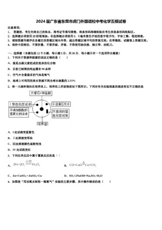 2024届广东省东莞市虎门外国语校中考化学五模试卷含解析.doc