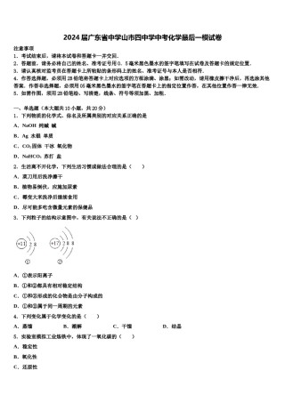 2024届广东省中学山市四中学中考化学最后一模试卷含解析.doc