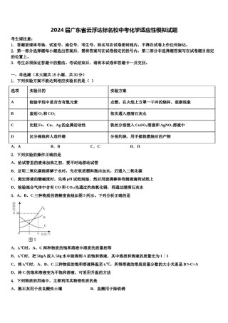 2024届广东省云浮达标名校中考化学适应性模拟试题含解析.doc