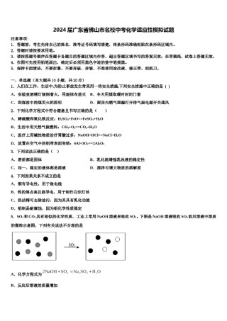 2024届广东省佛山市名校中考化学适应性模拟试题含解析.doc