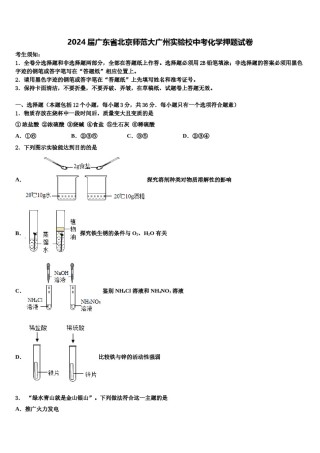 2024届广东省北京师范大广州实验校中考化学押题试卷含解析.doc