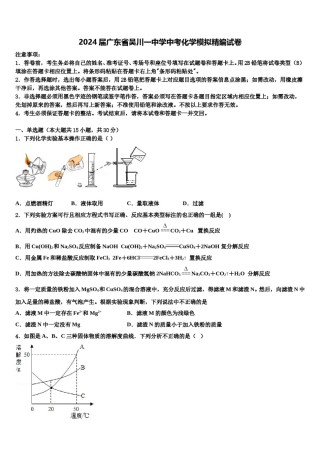 2024届广东省吴川一中学中考化学模拟精编试卷含解析.doc