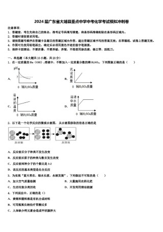 2024届广东省大埔县重点中学中考化学考试模拟冲刺卷含解析.doc
