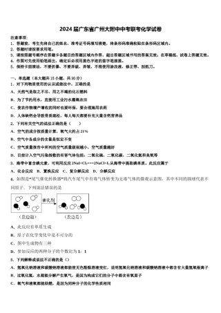 2024届广东省广州大附中中考联考化学试卷含解析.doc
