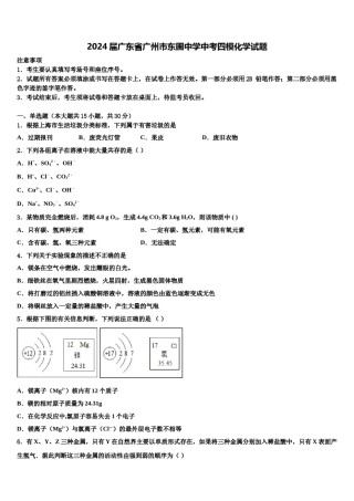 2024届广东省广州市东圃中学中考四模化学试题含解析.doc