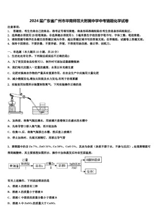 2024届广东省广州市华南师范大附属中学中考猜题化学试卷含解析.doc