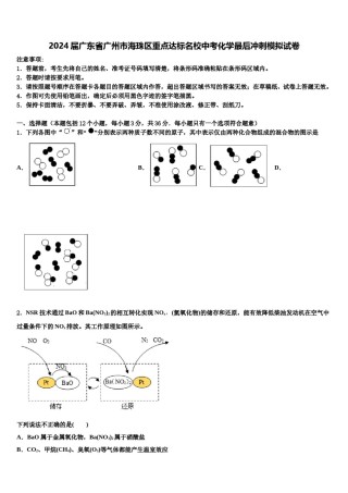 2024届广东省广州市海珠区重点达标名校中考化学最后冲刺模拟试卷含解析.doc