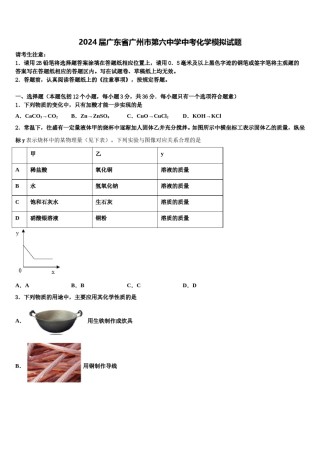 2024届广东省广州市第六中学中考化学模拟试题含解析.doc