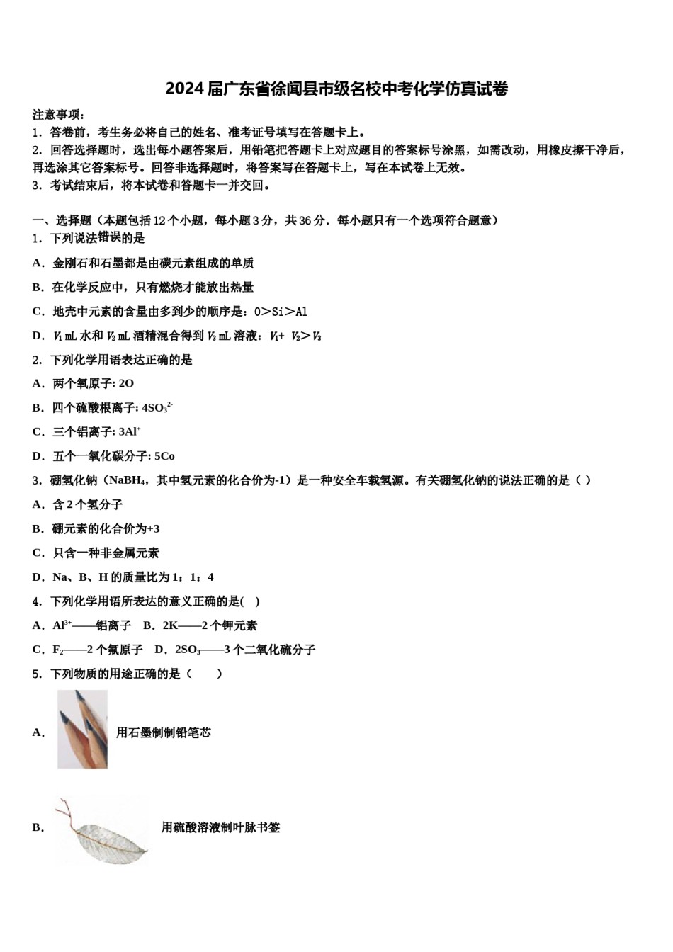 2024届广东省徐闻县市级名校中考化学仿真试卷含解析.doc_第1页