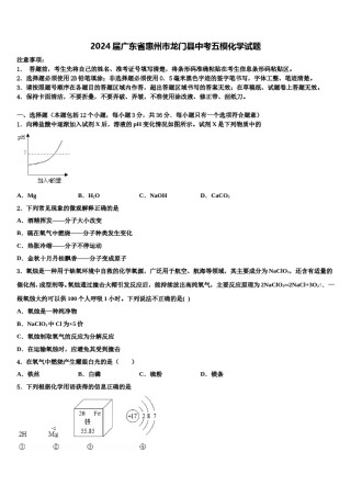 2024届广东省惠州市龙门县中考五模化学试题含解析.doc