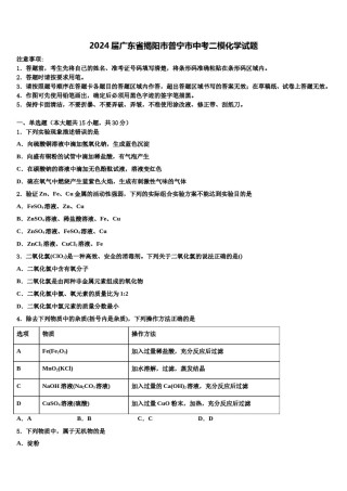 2024届广东省揭阳市普宁市中考二模化学试题含解析.doc