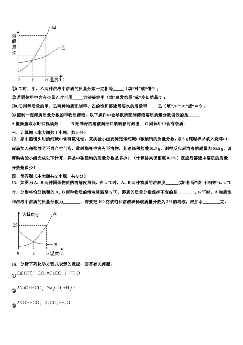 2024届广东省揭阳揭西县联考中考冲刺卷化学试题含解析.doc_第3页