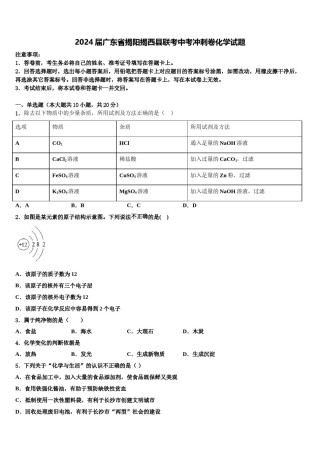 2024届广东省揭阳揭西县联考中考冲刺卷化学试题含解析.doc