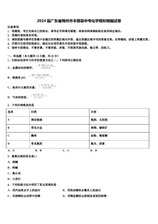 2024届广东省梅州市丰顺县中考化学模拟精编试卷含解析.doc