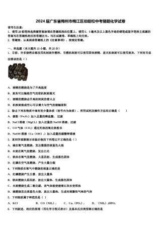 2024届广东省梅州市梅江区伯聪校中考猜题化学试卷含解析.doc