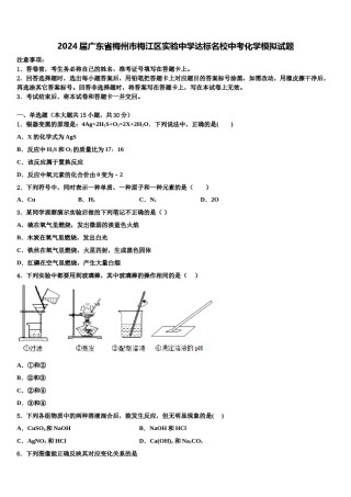 2024届广东省梅州市梅江区实验中学达标名校中考化学模拟试题含解析.doc