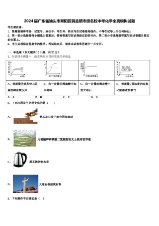 2024届广东省汕头市潮阳区铜盂镇市级名校中考化学全真模拟试题含解析.doc