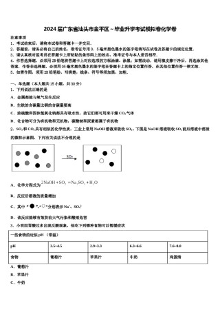 2024届广东省汕头市金平区～毕业升学考试模拟卷化学卷含解析.doc
