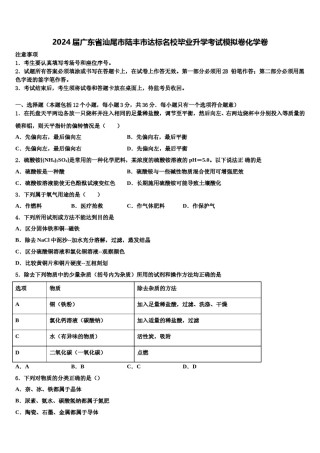 2024届广东省汕尾市陆丰市达标名校毕业升学考试模拟卷化学卷含解析.doc