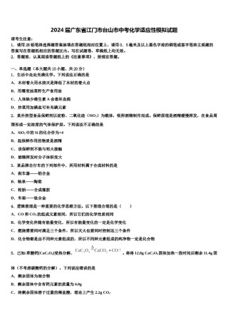 2024届广东省江门市台山市中考化学适应性模拟试题含解析.doc