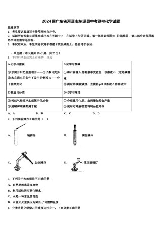 2024届广东省河源市东源县中考联考化学试题含解析.doc