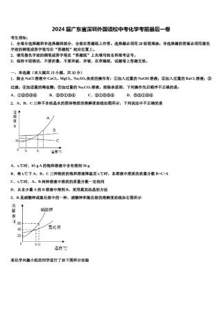 2024届广东省深圳外国语校中考化学考前最后一卷含解析.doc