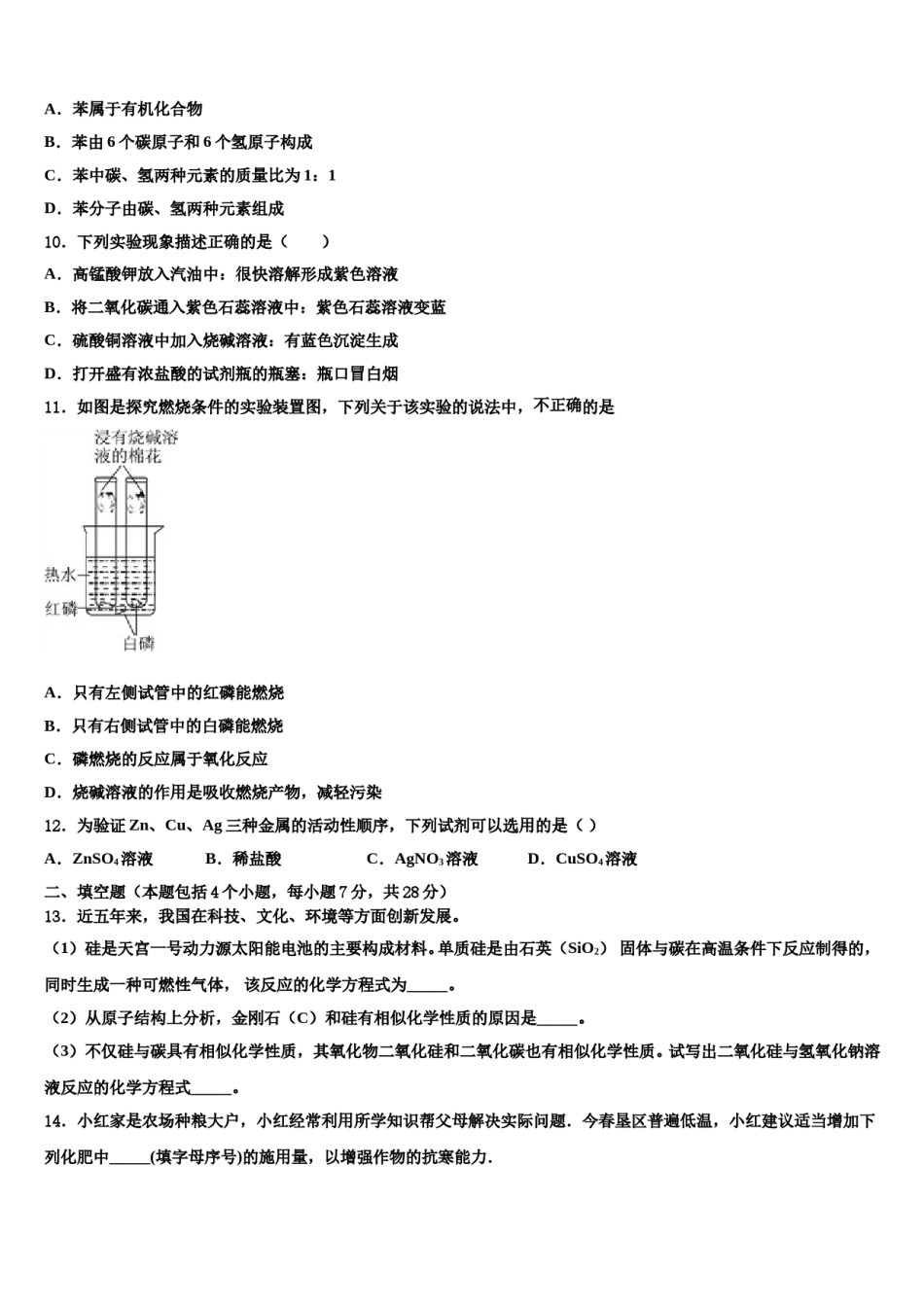 2024届广东省深圳大鹏新区中考化学考试模拟冲刺卷含解析.doc_第3页