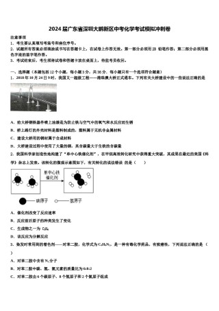 2024届广东省深圳大鹏新区中考化学考试模拟冲刺卷含解析.doc