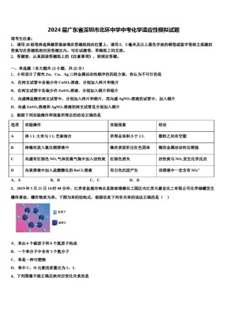 2024届广东省深圳市北环中学中考化学适应性模拟试题含解析.doc