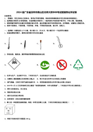 2024届广东省深圳市南山区北师大附中中考试题猜想化学试卷含解析.doc