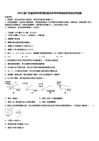 2024届广东省深圳市罗湖区重点中学中考适应性考试化学试题含解析.doc