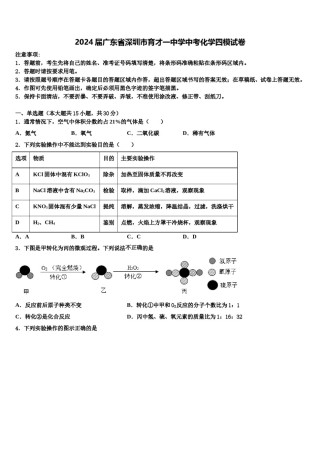 2024届广东省深圳市育才一中学中考化学四模试卷含解析.doc
