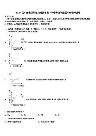 2024届广东省深圳市龙岗区布吉中学中考化学最后冲刺模拟试卷含解析.doc