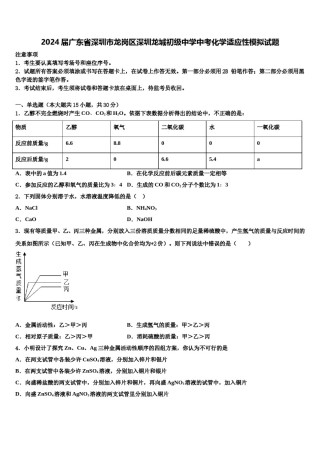 2024届广东省深圳市龙岗区深圳龙城初级中学中考化学适应性模拟试题含解析.doc