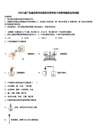 2024届广东省深圳市龙岗区石芽岭校十校联考最后化学试题含解析.doc