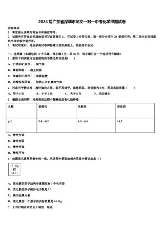 2024届广东省深圳市龙文一对一中考化学押题试卷含解析.doc