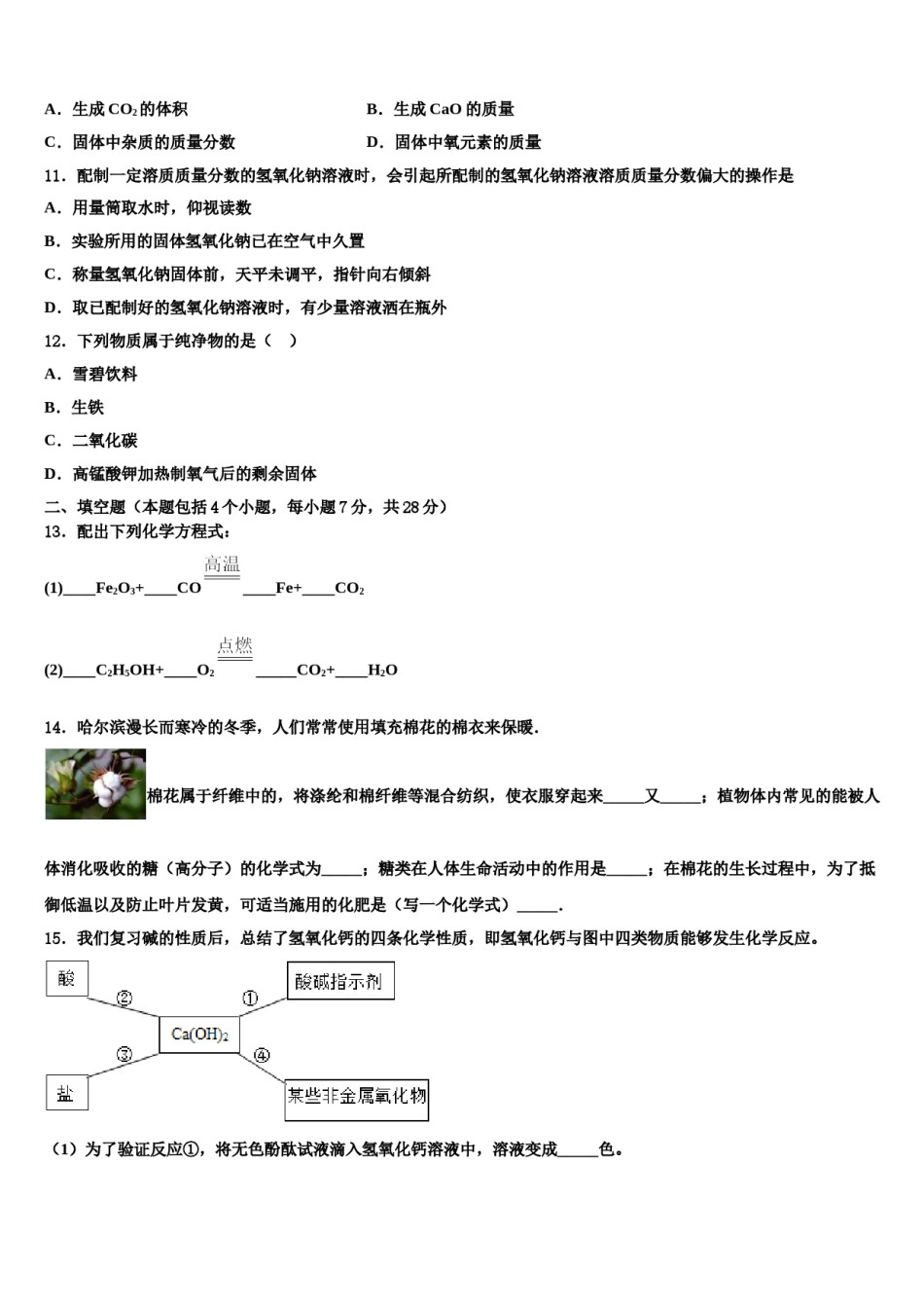 2024届广东省深圳高级中学中考化学考试模拟冲刺卷含解析.doc_第3页