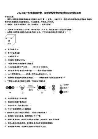 2024届广东省湛师附中、实验学校中考化学对点突破模拟试卷含解析.doc