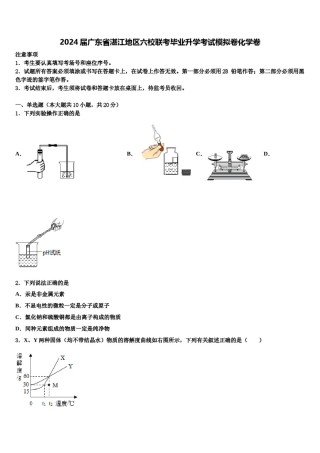 2024届广东省湛江地区六校联考毕业升学考试模拟卷化学卷含解析.doc
