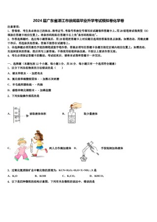 2024届广东省湛江市徐闻县毕业升学考试模拟卷化学卷含解析.doc