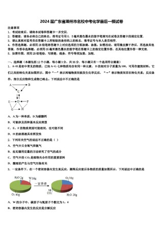 2024届广东省潮州市名校中考化学最后一模试卷含解析.doc
