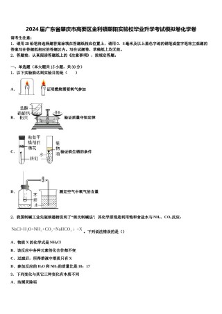 2024届广东省肇庆市高要区金利镇朝阳实验校毕业升学考试模拟卷化学卷含解析.doc