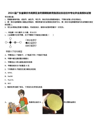 2024届广东省肇庆市高要区金利镇朝阳教育集团达标名校中考化学全真模拟试卷含解析.doc