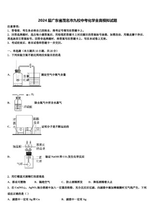 2024届广东省茂名市九校中考化学全真模拟试题含解析.doc