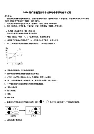 2024届广东省茂名市十校联考中考联考化学试题含解析.doc
