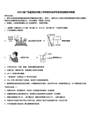2024届广东省茂名市第二中学初中化学毕业考试模拟冲刺卷含解析.doc